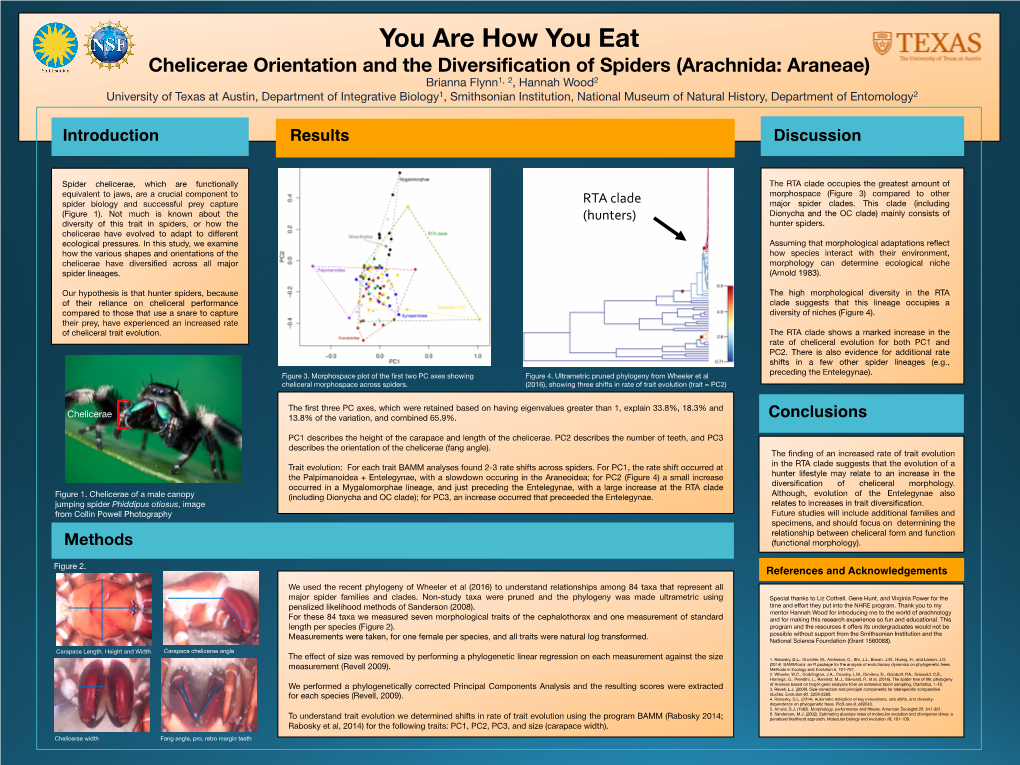 You Are How You Eat Chelicerae Orientation and the Diversification