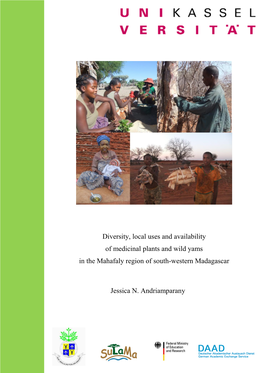 Diversity, Local Uses and Availability of Medicinal Plants and Wild Yams in the Mahafaly Region of South-Western Madagascar