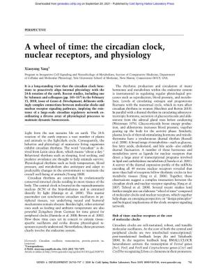 A Wheel of Time: the Circadian Clock, Nuclear Receptors, and Physiology