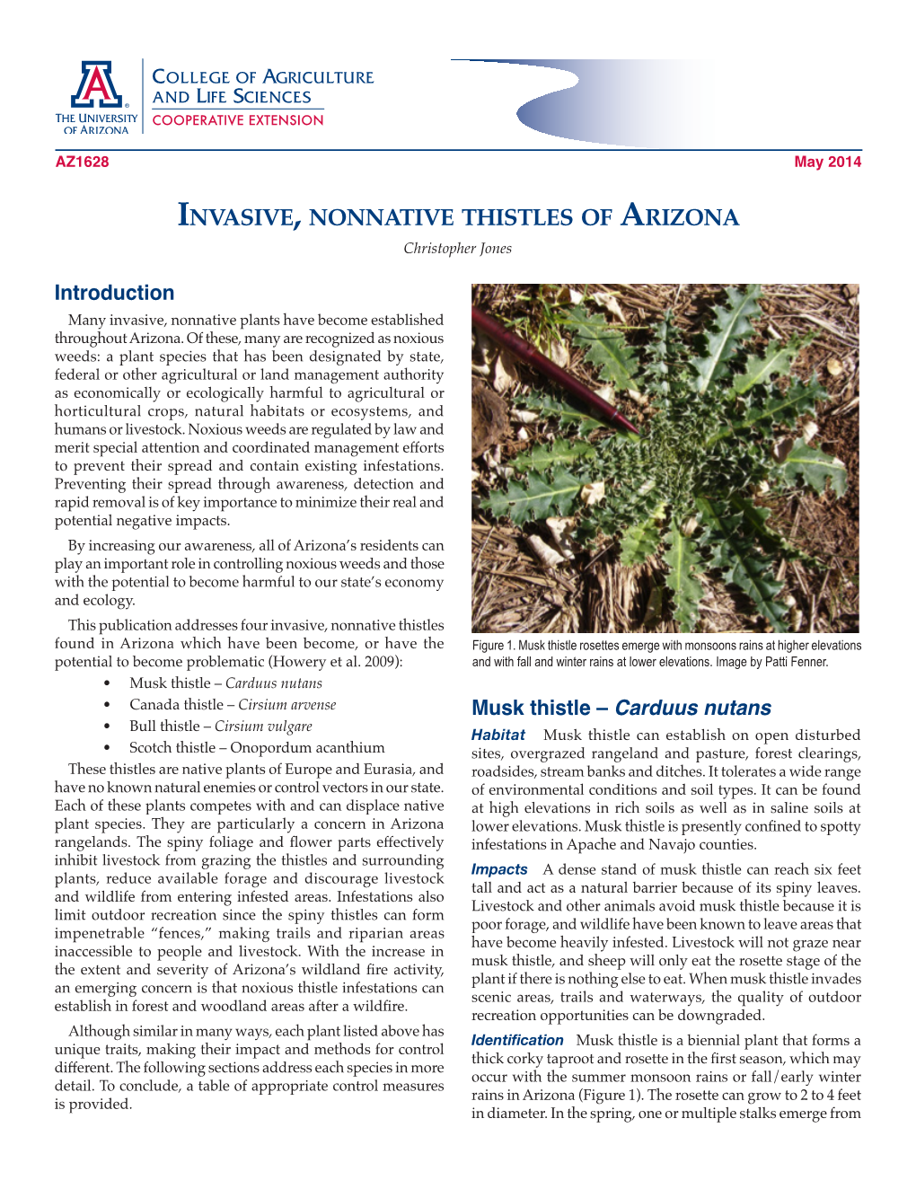 Invasive, Nonnative Thistles of Arizona Christopher Jones