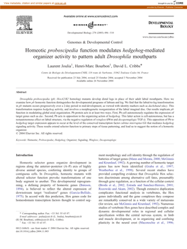 Homeotic Proboscipedia Function Modulates Hedgehog-Mediated Organizer Activity to Pattern Adult Drosophila Mouthparts