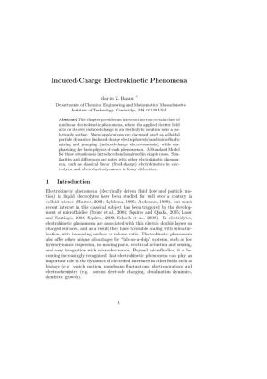Induced-Charge Electrokinetic Phenomena