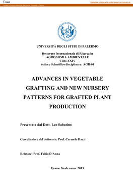 Morphological and Agronomical Characterization of Eggplant Genetic
