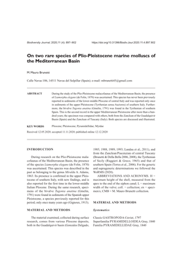 On Two Rare Species of Plio-Pleistocene Marine Molluscs of the Mediterranean Basin