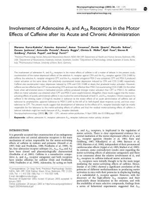 Involvement of Adenosine A1 and A2A Receptors in the Motor Effects of Caffeine After Its Acute and Chronic Administration