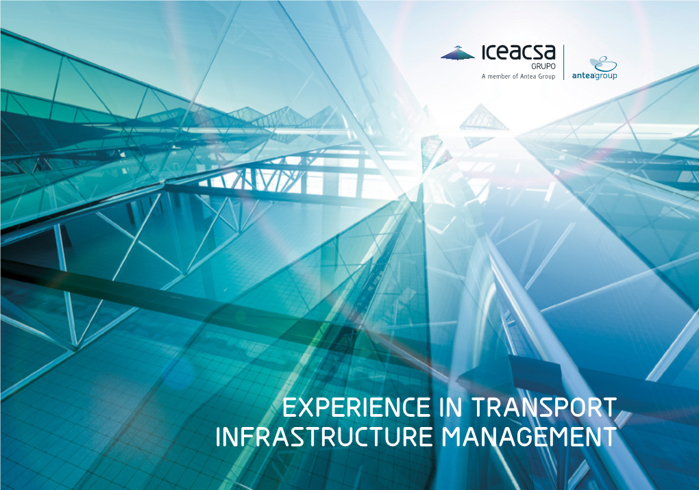 Experience in Transport Infrastructure Management