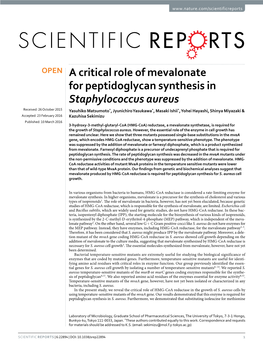 A Critical Role of Mevalonate for Peptidoglycan Synthesis In