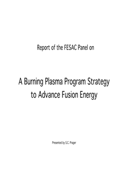 A Burning Plasma Program Strategy to Advance Fusion Energy