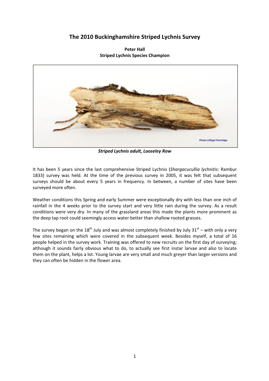 Striped Lychnis 2010 Report