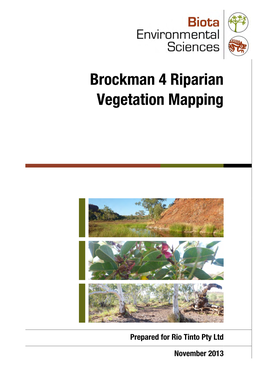 Brockman 4 Riparian Vegetation Mapping
