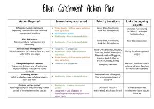 Ellen Catchment Action Plan