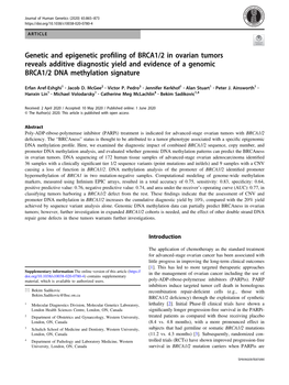 Genetic and Epigenetic Profiling of BRCA1/2 in Ovarian Tumors