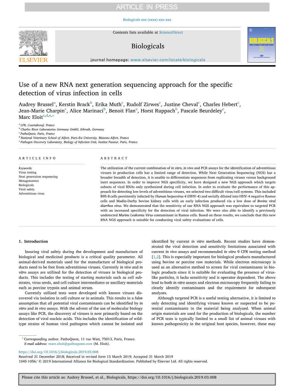 Use of a New RNA Next-Generation Sequencing Approach for the Specific Detection of Virus Infection in Cells