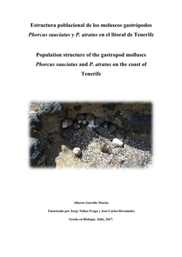 Estructura Poblacional De Los Moluscos Gastrópodos Phorcus Sauciatus Y P