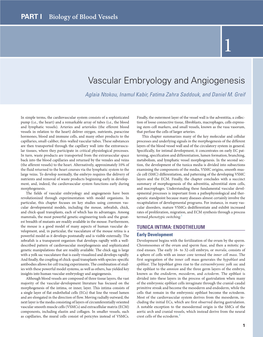 Vascular Embryology and Angiogenesis