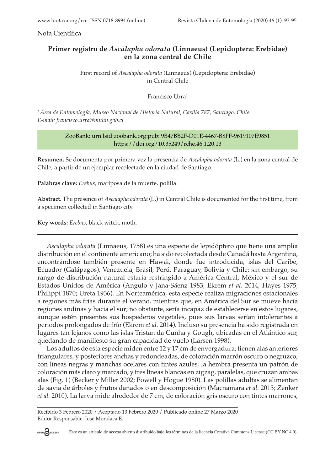 Primer Registro De Ascalapha Odorata (Linnaeus) (Lepidoptera: Erebidae) En La Zona Central De Chile