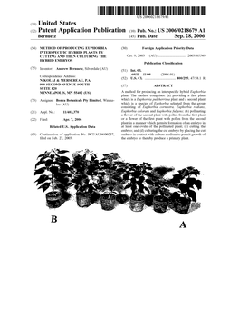 (12) Patent Application Publication (10) Pub. No.: US 2006/0218679 A1 Bernuetz (43) Pub