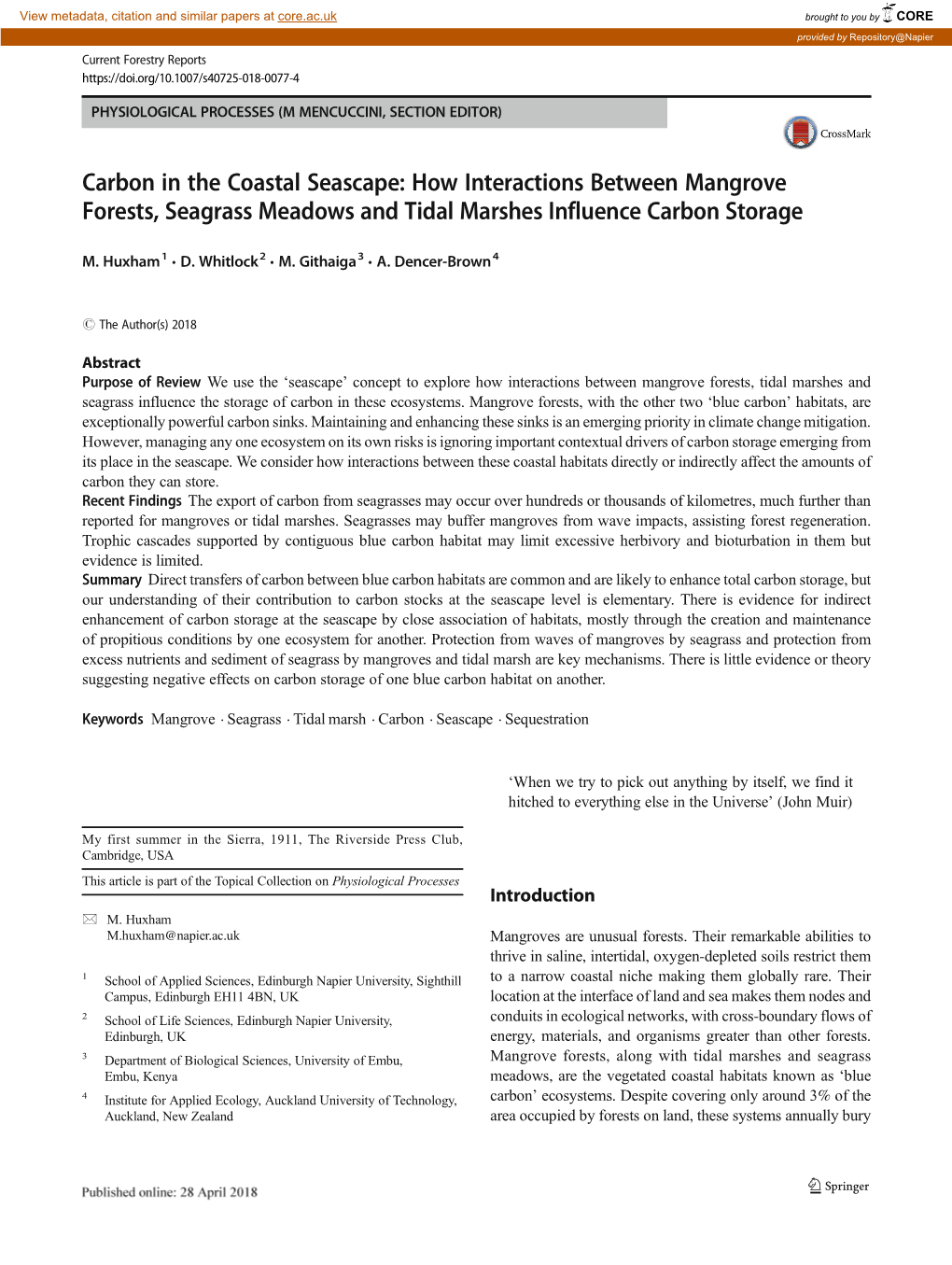 How Interactions Between Mangrove Forests, Seagrass Meadows and Tidal Marshes Influence Carbon Storage