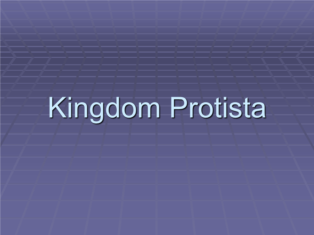 Kingdom Protista