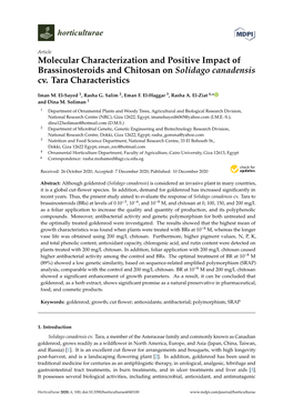 Molecular Characterization and Positive Impact of Brassinosteroids and Chitosan on Solidago Canadensis Cv