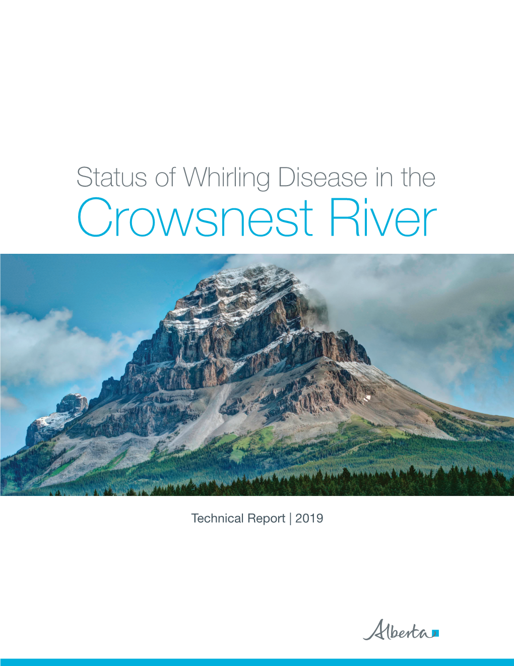 Status of Whirling Disease in the Crowsnest River