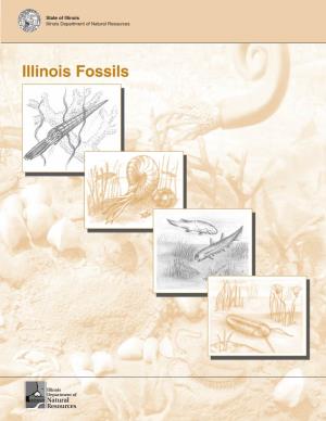 Illinois Fossils Doc 2005