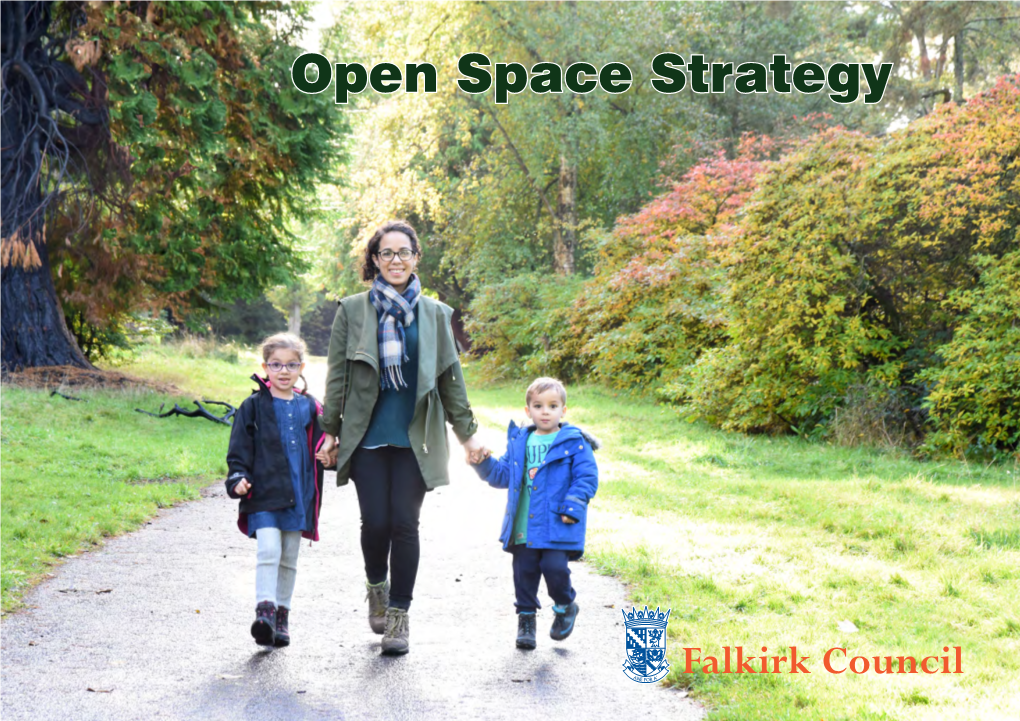 Open Space Strategy