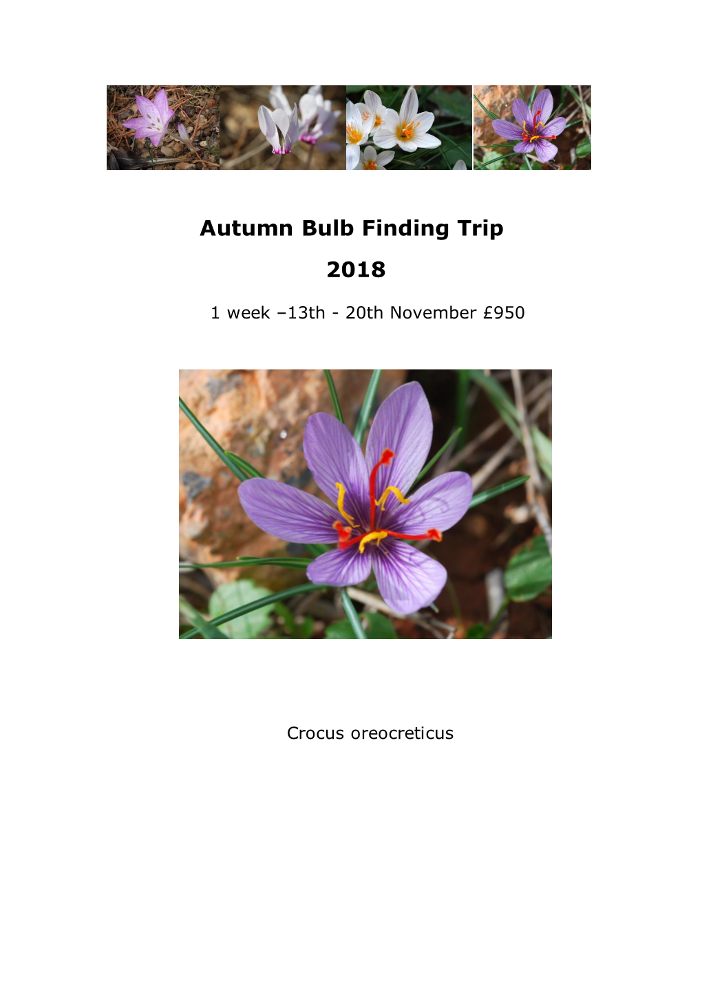 Autumn Bulb Finding Trip 2018