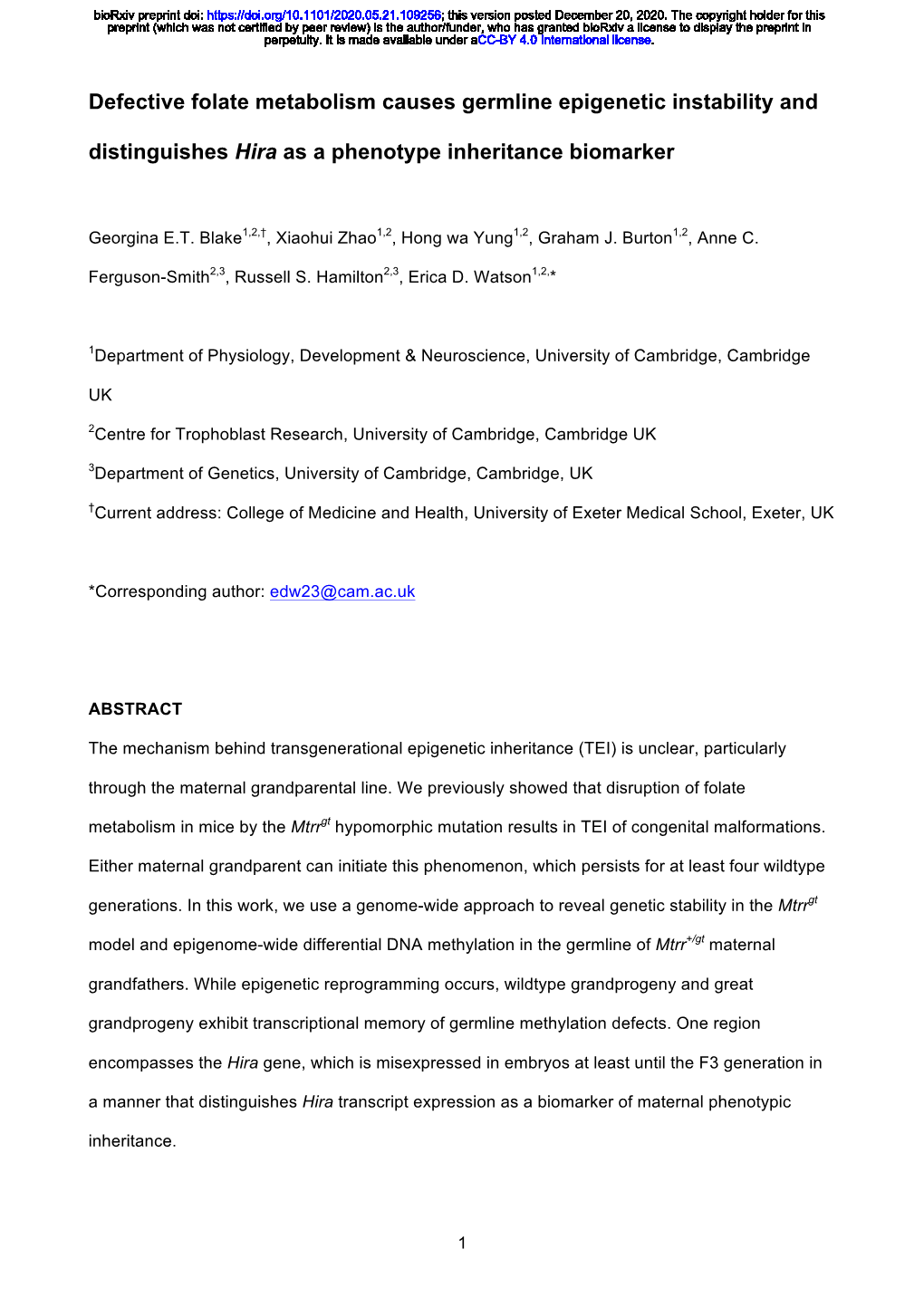 Defective Folate Metabolism Causes Germline Epigenetic Instability and Distinguishes Hira As a Phenotype Inheritance Biomarker