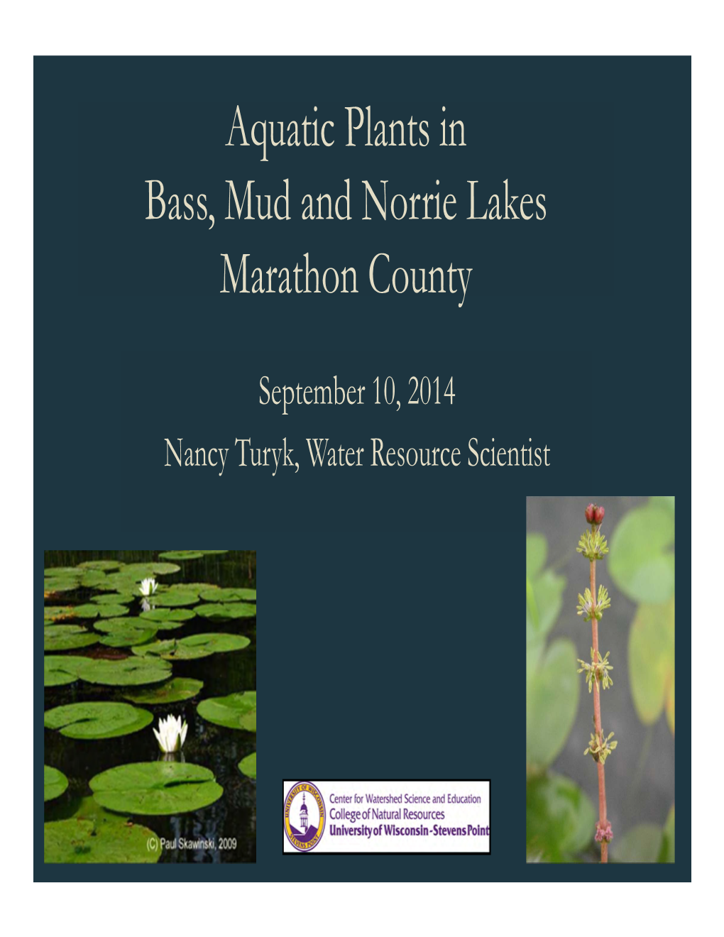 Aquatic Plants in Bass, Mud and Norrie Lakes Marathon County
