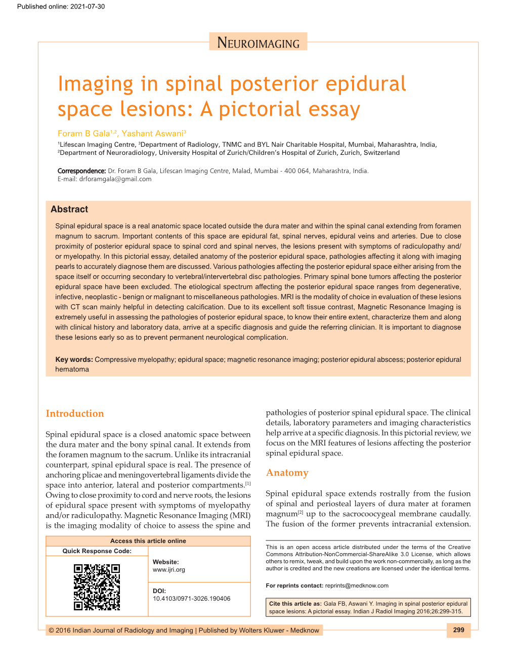 Imaging in Spinal Posterior Epidural Space Lesions: a Pictorial Essay