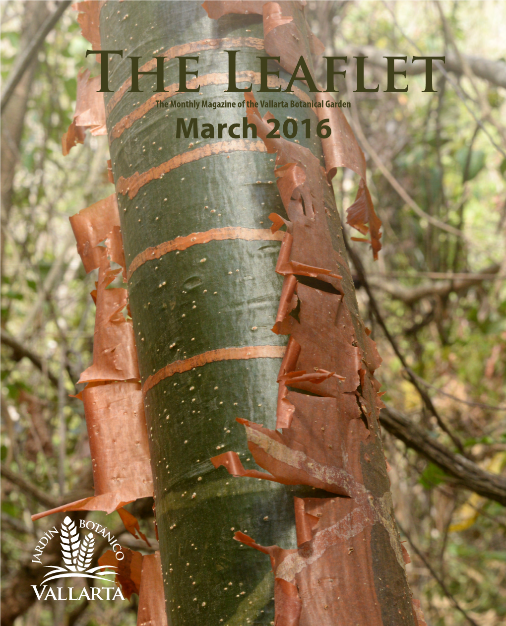 March 2016 the Leaflet the Monthly Magazine of the Vallarta Botanical Garden Puerto Vallarta, Jalisco, México March 2016 Vol
