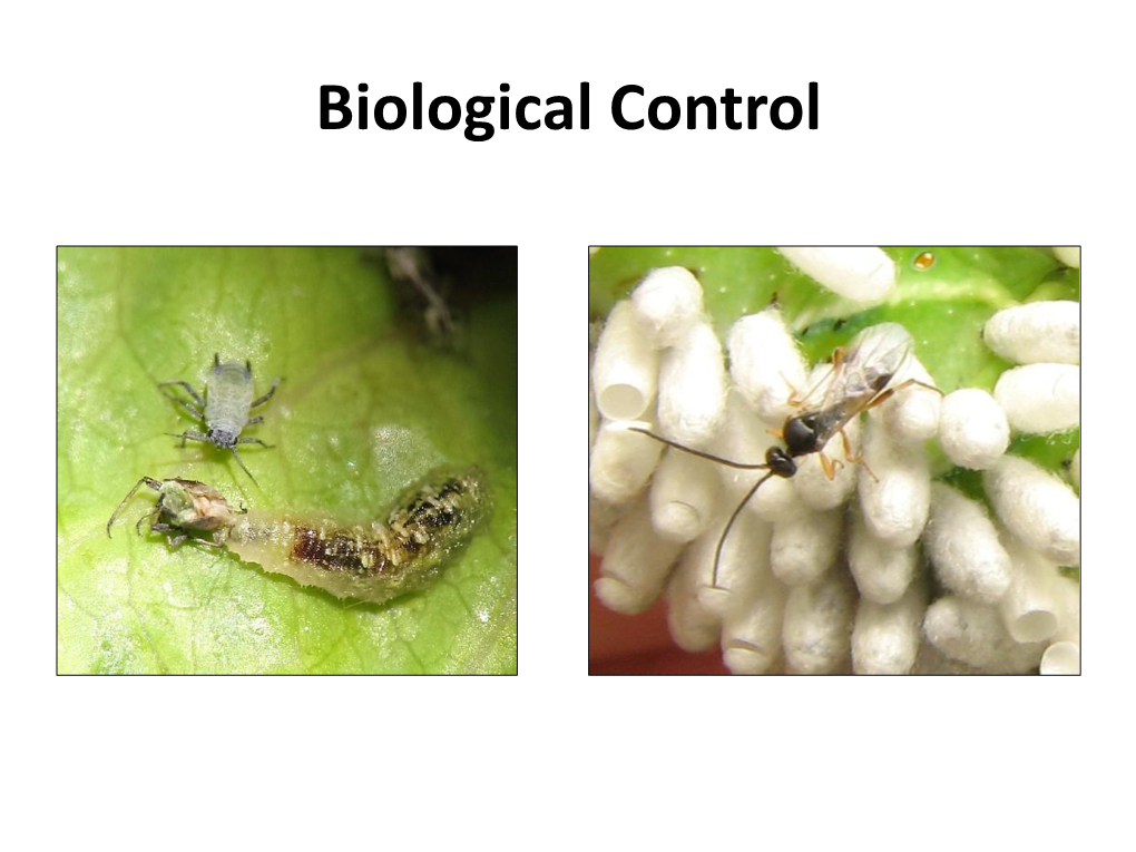 Introduction to Applied Entomology Natural and Biological Control