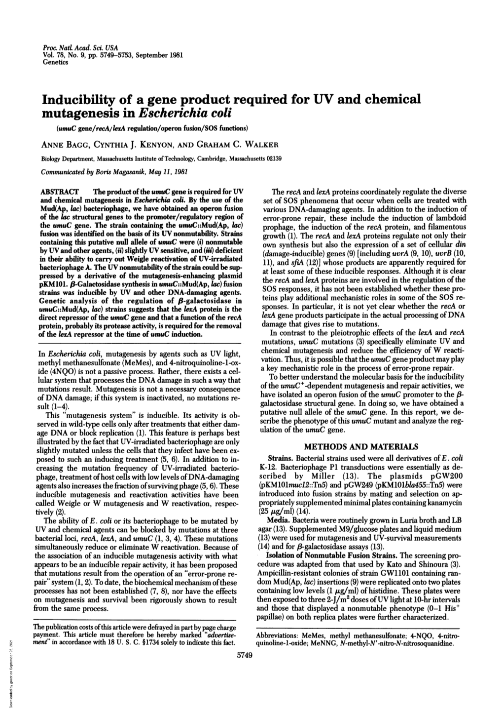 Inducibility of a Gene Product Required for UV and Chemical Mutagenesis