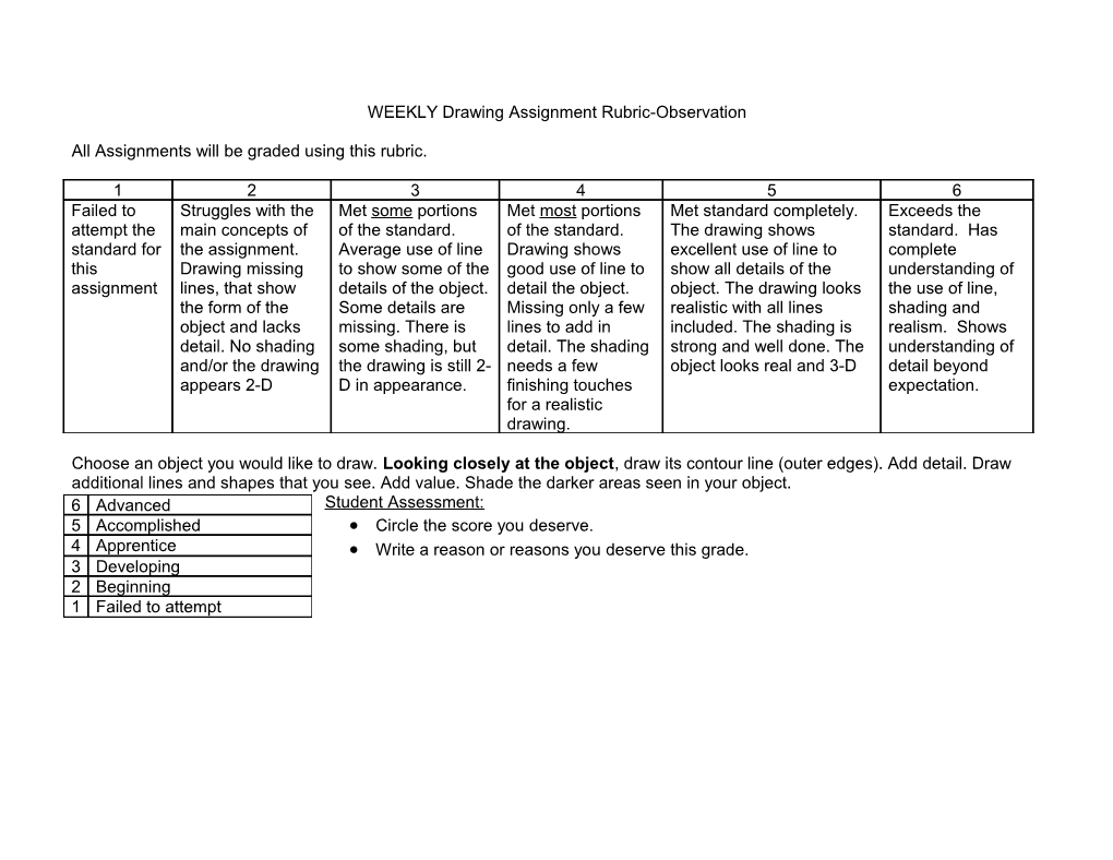 WEEKLY Drawing Assignment Rubric-Observation