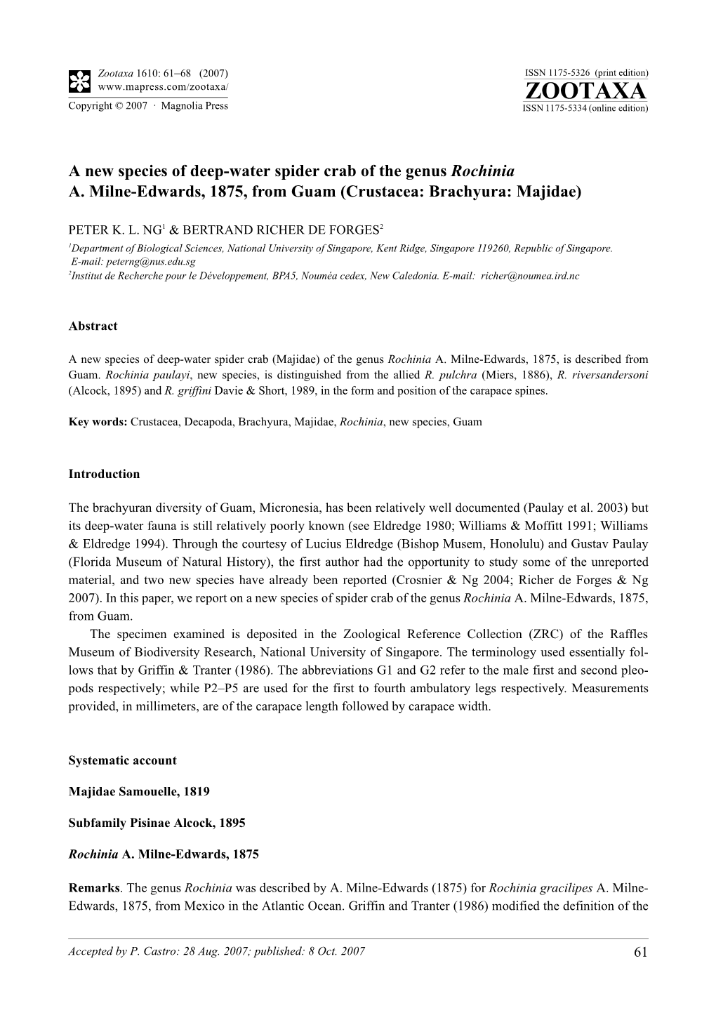 Zootaxa,A New Species of Deep-Water Spider Crab