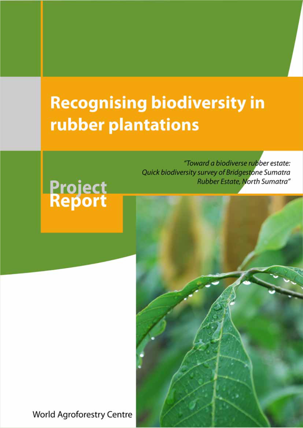 Recognising Biodiversity in Rubber Plantations