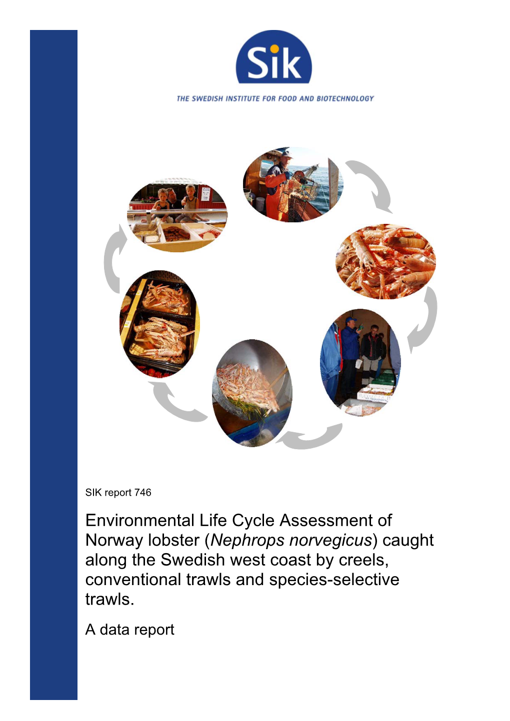 Nephrops Norvegicus) Caught Along the Swedish West Coast by Creels, Conventional Trawls and Species-Selective Trawls