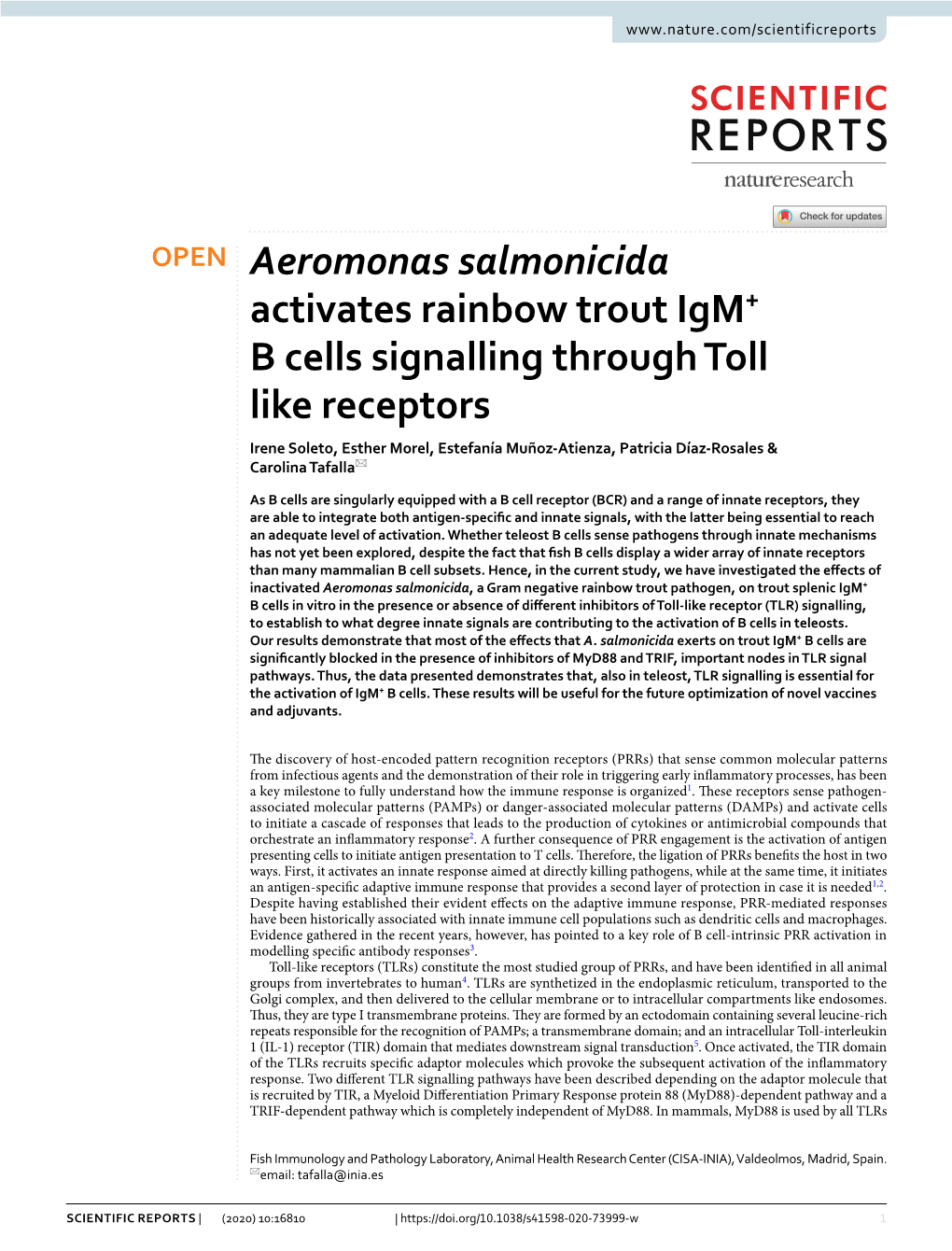 Aeromonas Salmonicida Activates Rainbow Trout Igm+ B Cells