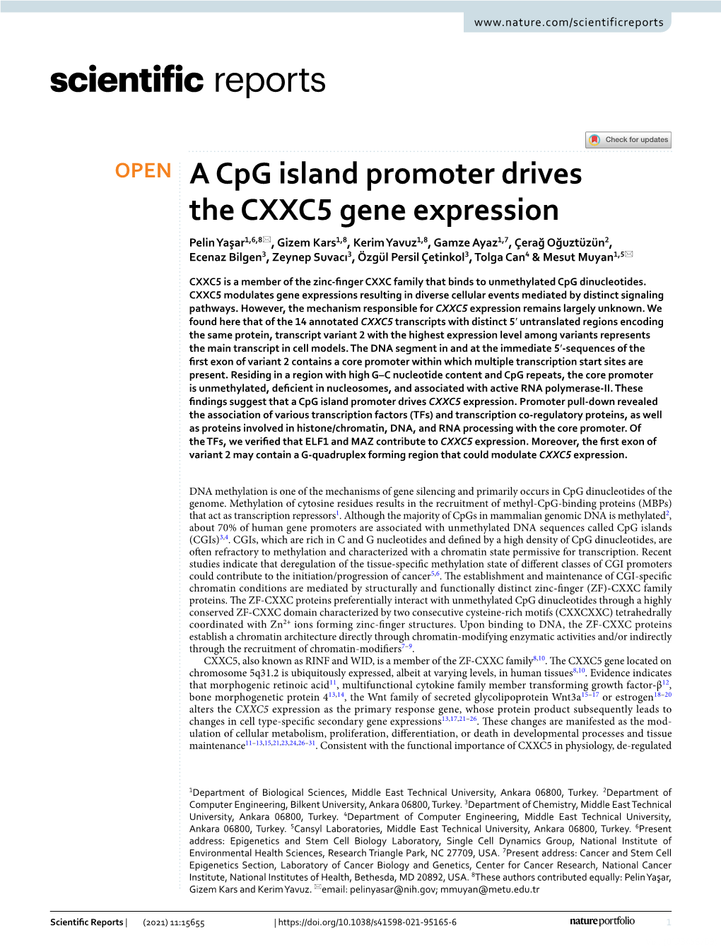 A Cpg Island Promoter Drives the CXXC5 Gene Expression