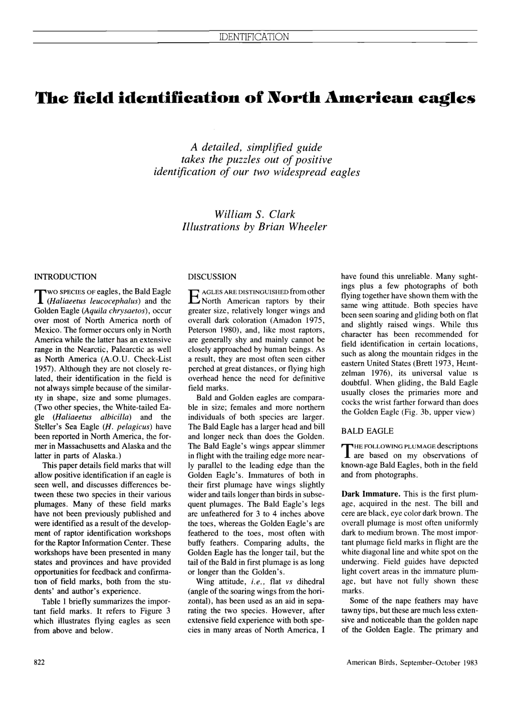 The Field Identification of North American Eagles