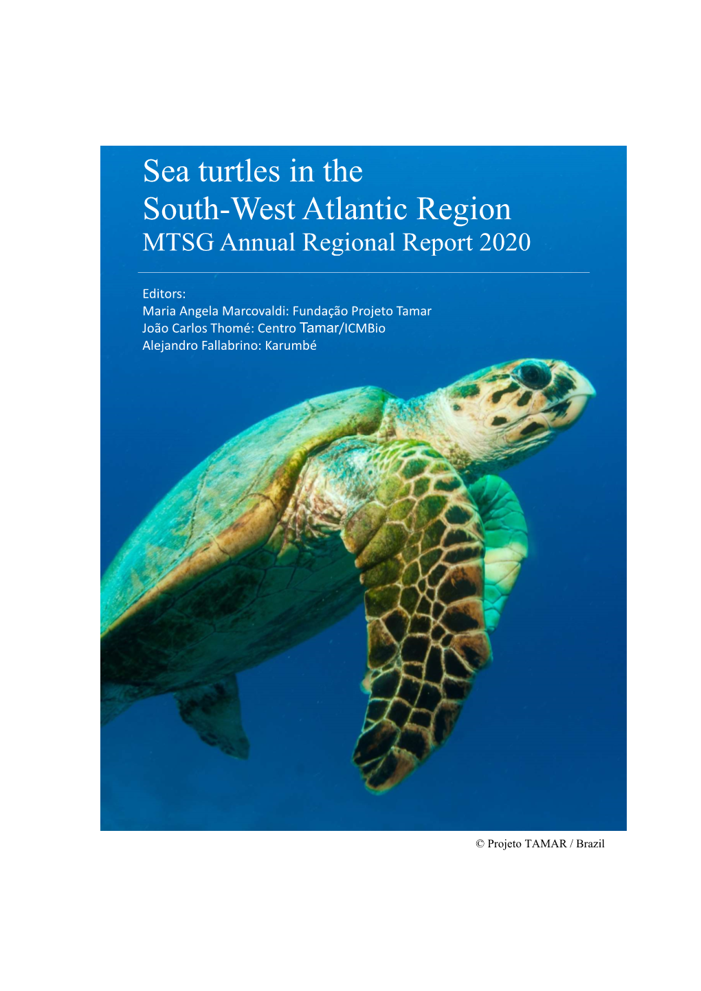 Sea Turtles in the South-West Atlantic Region