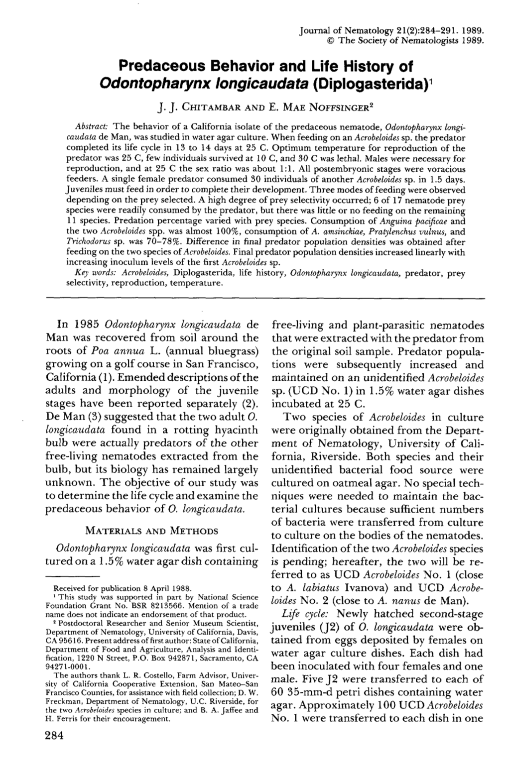 Odontopharynx Iongicaudata (Diplogasterida) 1