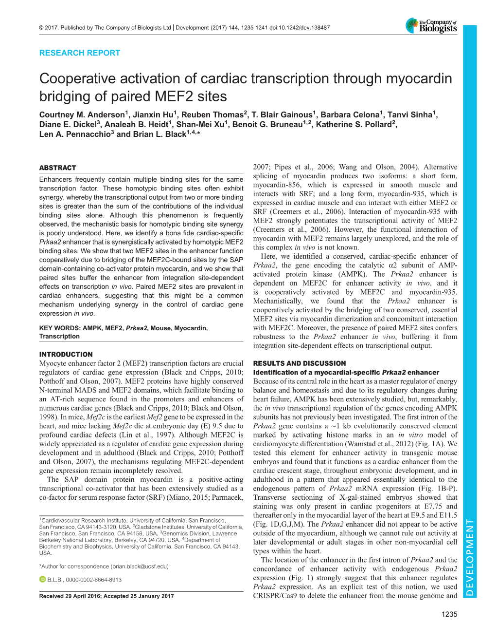 Cooperative Activation of Cardiac Transcription Through Myocardin Bridging of Paired MEF2 Sites Courtney M