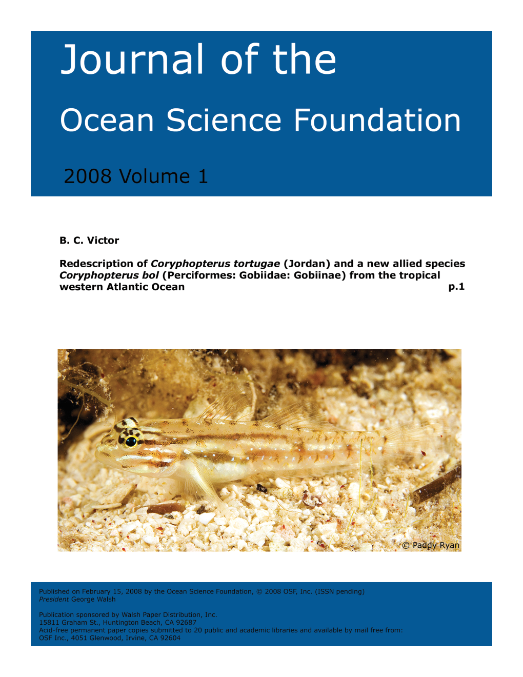 Redescription of Coryphopterus Tortugae (Jordan) and a New Allied Species Coryphopterus Bol (Perciformes: Gobiidae: Gobiinae) from the Tropical Western Atlantic Ocean