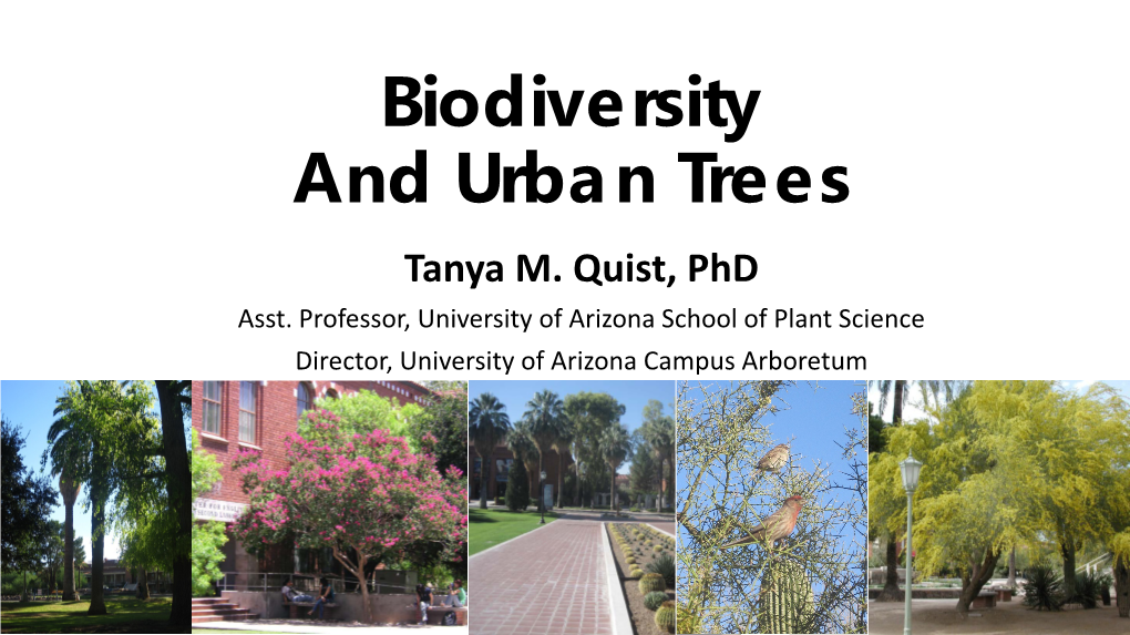 Biodiversity and Urban Trees Tanya M