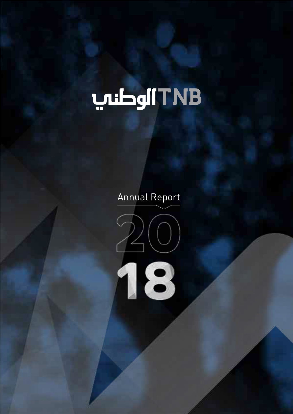 Annual Report 2018 | 3