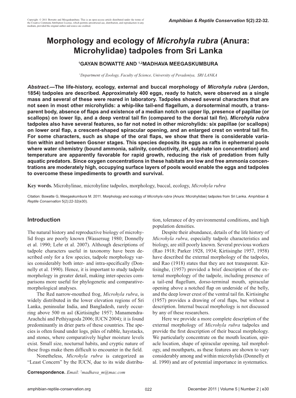 Morphology and Ecology of Microhyla Rubra (Anura: Microhylidae) Tadpoles from Sri Lanka