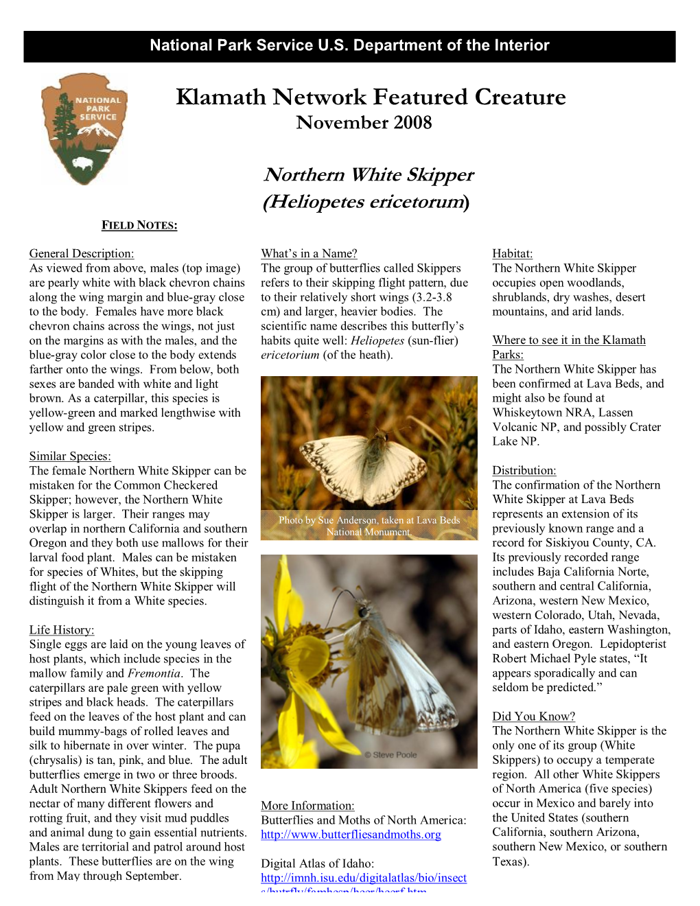 Heliopetes Ericetorum) FIELD NOTES