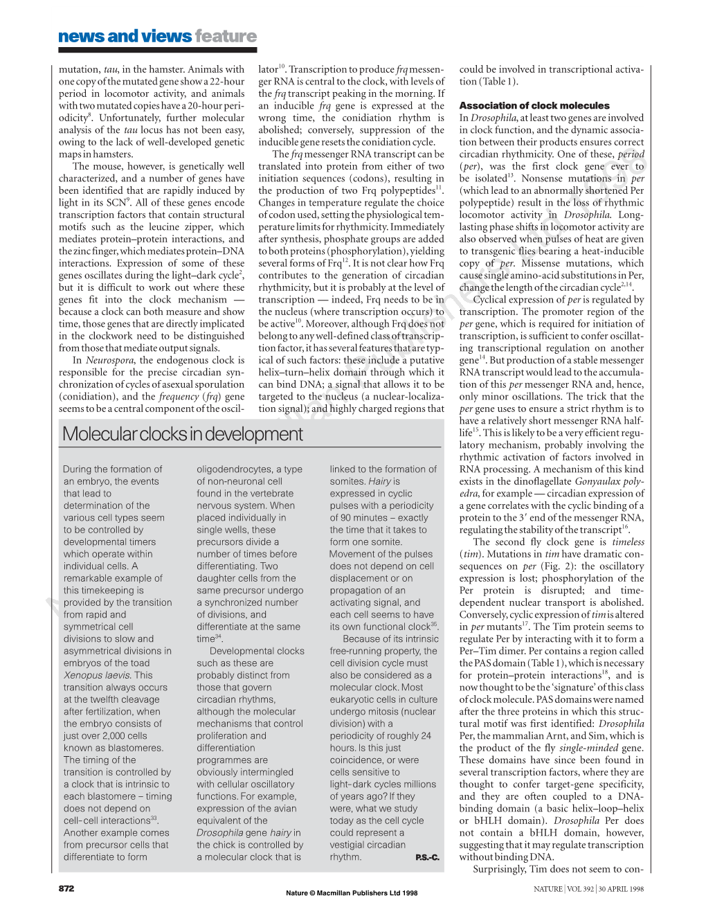 Molecular Clocks in Development Life15